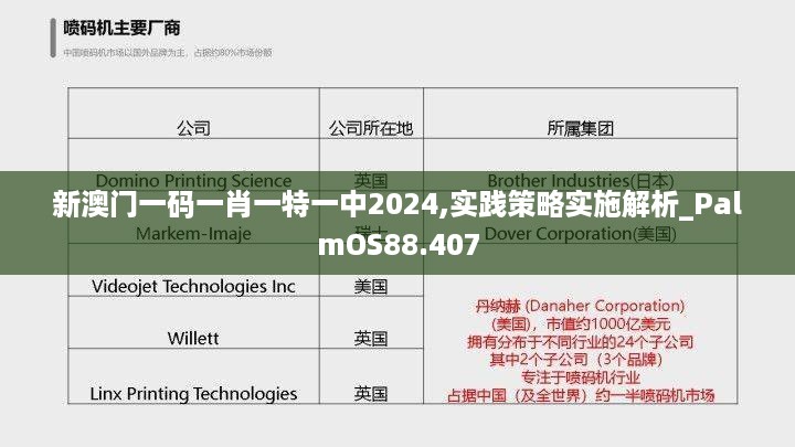 新澳门一码一肖一特一中2024,实践策略实施解析_PalmOS88.407