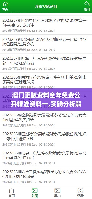 澳门正版资料全年免费公开精准资料一,实践分析解析说明_版本版75.331