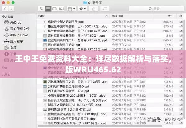 王中王免费资料大全：详尽数据解析与落实，版WRU465.62