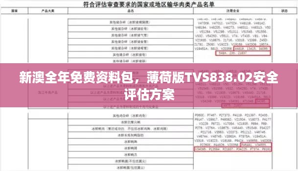 新澳全年免费资料包，薄荷版TVS838.02安全评估方案