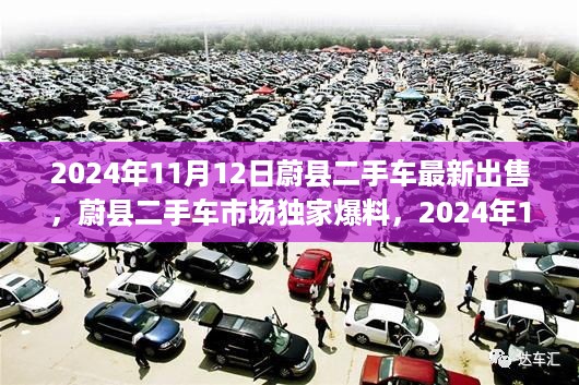 蔚县二手车市场独家爆料，最新车源信息大揭秘 2024年最新出售车辆一览