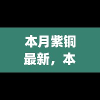 本月紫铜市场动态更新，趋势分析与展望