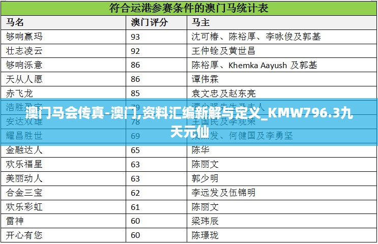 澳门马会传真-澳门,资料汇编新解与定义_KMW796.3九天元仙