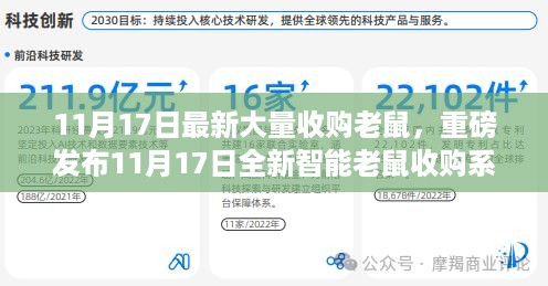 科技革新引领未来，全新智能老鼠收购系统重磅发布！