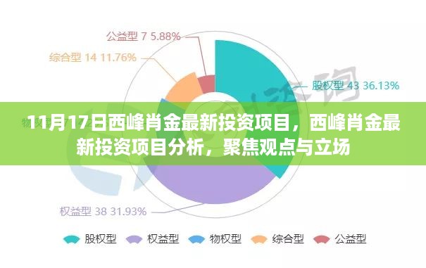 西峰肖金最新投资项目深度解析，聚焦观点与立场