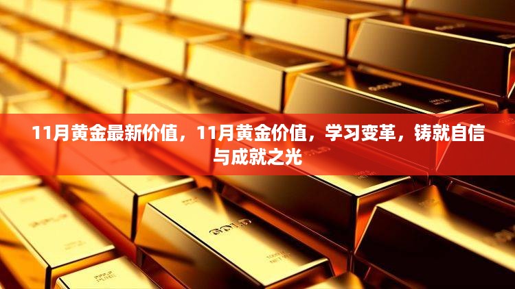 11月黄金价值揭秘，学习变革，铸就自信与成就之光