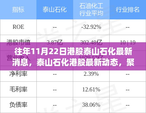 往年11月22日泰山石化港股动态回顾与最新消息聚焦