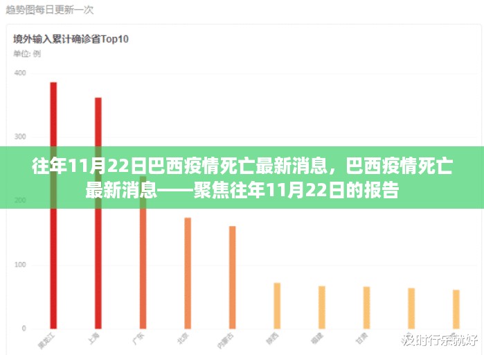 往年11月22日巴西疫情死亡最新消息回顾与聚焦