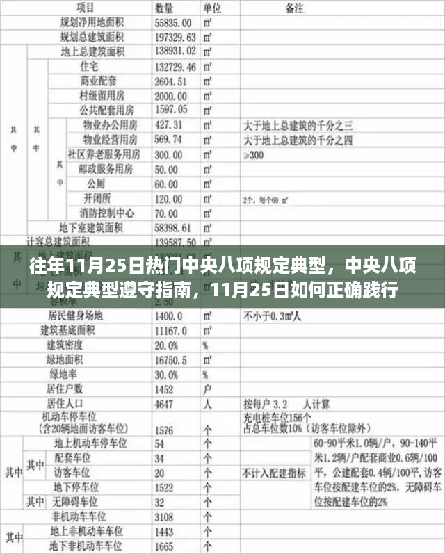 中央八项规定践行指南，遵守指南与典型案例分析，11月25日如何正确行动