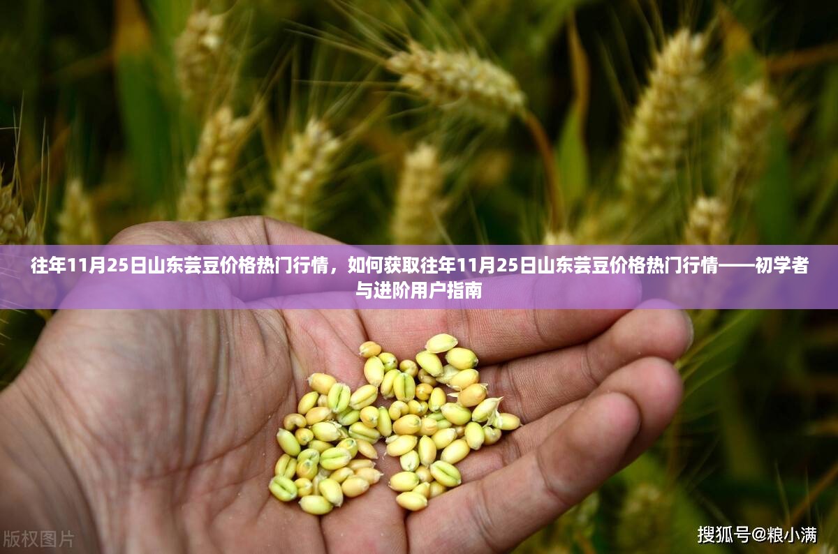 往年11月25日山东芸豆价格行情解析及获取指南——初学者与进阶用户必备参考