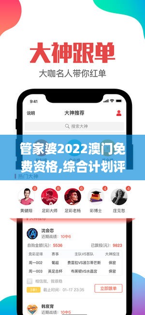 管家婆2022澳门免费资格,综合计划评估_感知版LXK9.55