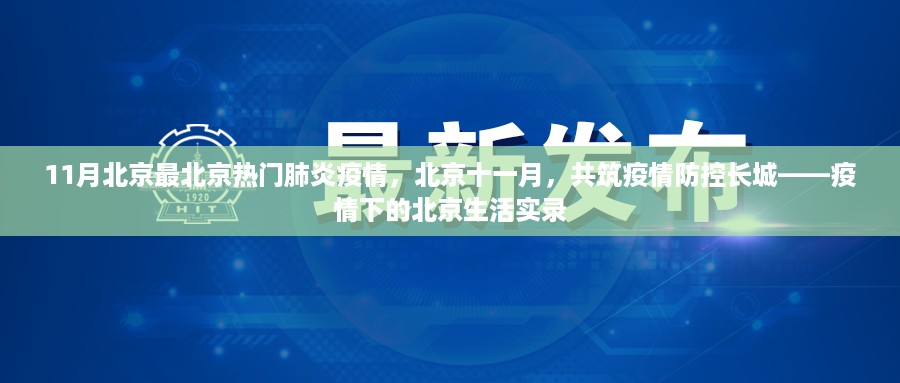 北京十一月肺炎疫情实录，共筑防控长城，疫情下的生活观察