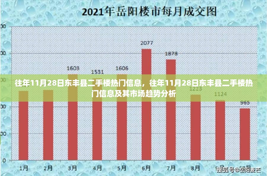 往年11月28日东丰县二手楼热门信息与市场趋势深度解析