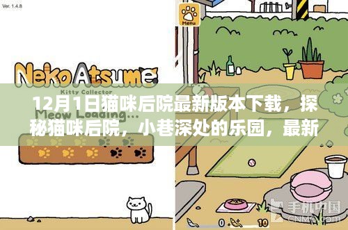 探秘猫咪后院，最新游戏版等你来体验！