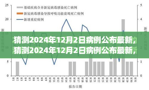 2024年12月2日病例最新公布全面评测与介绍