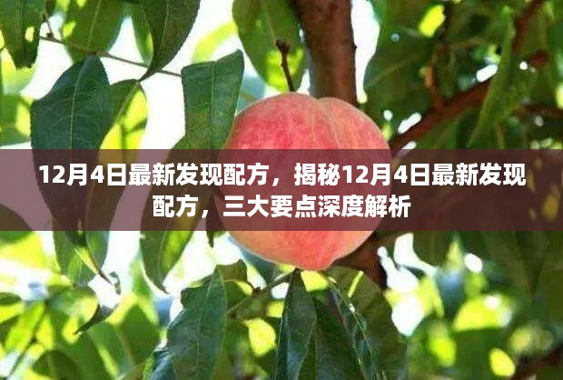 揭秘最新配方，三大要点深度解析，12月4日独家发现！