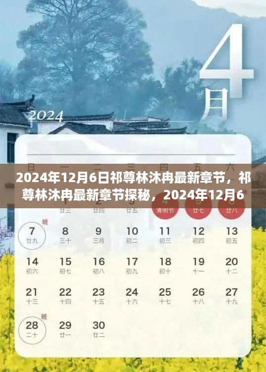 祁尊林沐冉最新章节探秘，2024年12月6日的精彩揭秘