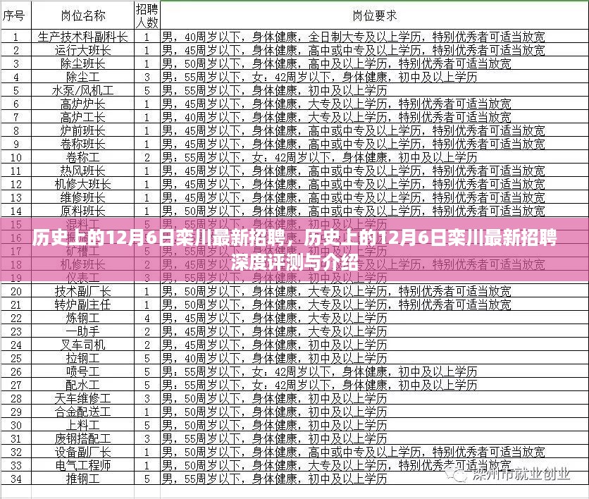 历史上的12月6日栾川最新招聘深度解析与介绍