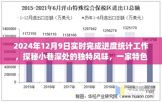 特色小店2024进度统计之旅，探秘小巷深处的独特风味与实时完成进度统计