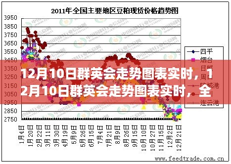 12月10日群英会走势图表全面解读，产品特性、用户体验与目标用户群体深度分析