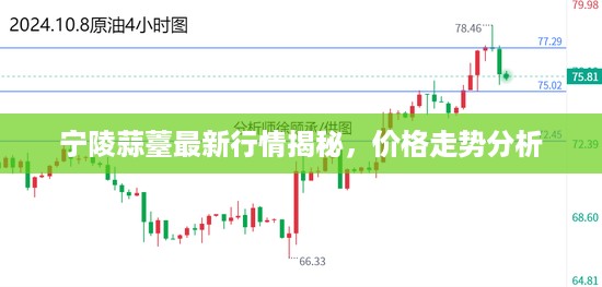 宁陵蒜薹最新行情揭秘，价格走势分析