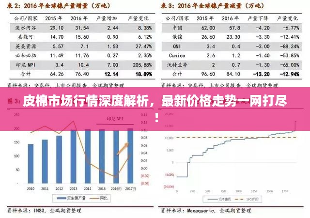 皮棉市场行情深度解析，最新价格走势一网打尽！