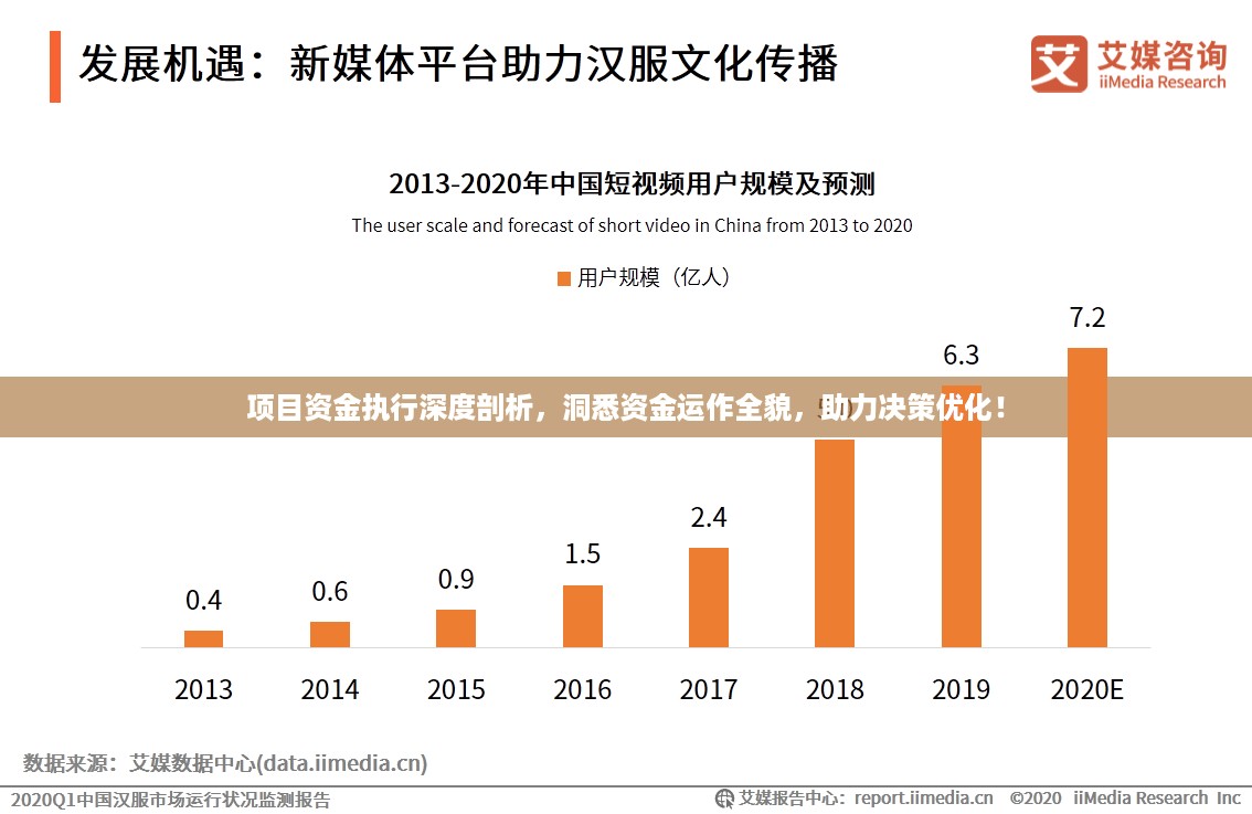 项目资金执行深度剖析，洞悉资金运作全貌，助力决策优化！