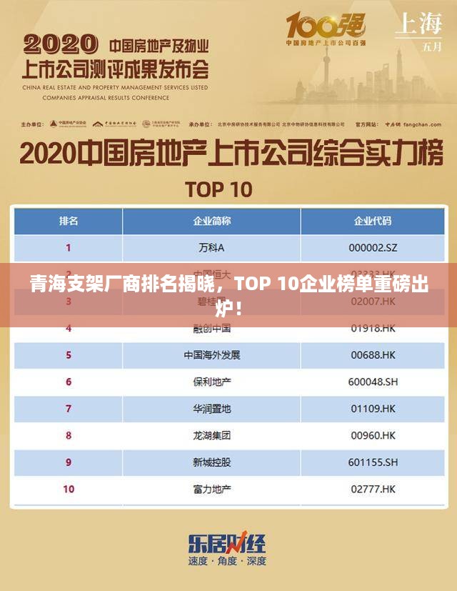 青海支架厂商排名揭晓，TOP 10企业榜单重磅出炉！