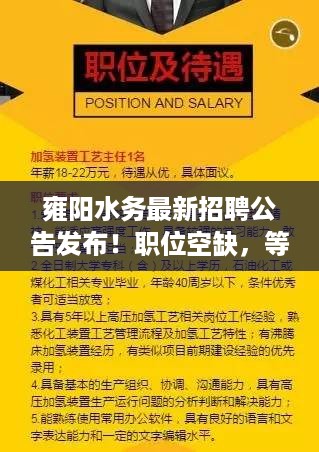 雍阳水务最新招聘公告发布！职位空缺，等你来挑战！