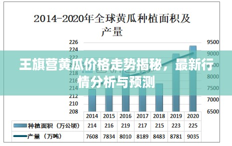 王旗营黄瓜价格走势揭秘，最新行情分析与预测