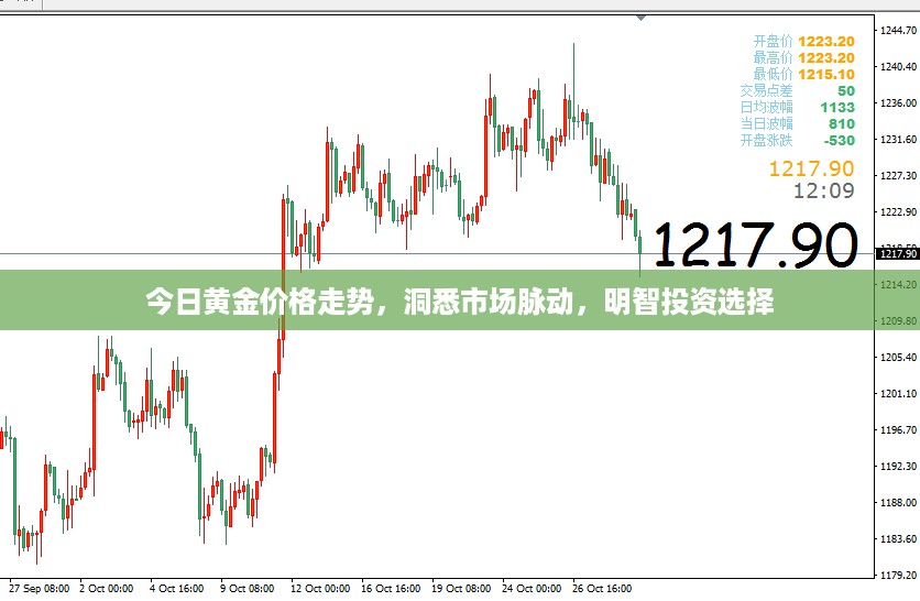 今日黄金价格走势，洞悉市场脉动，明智投资选择