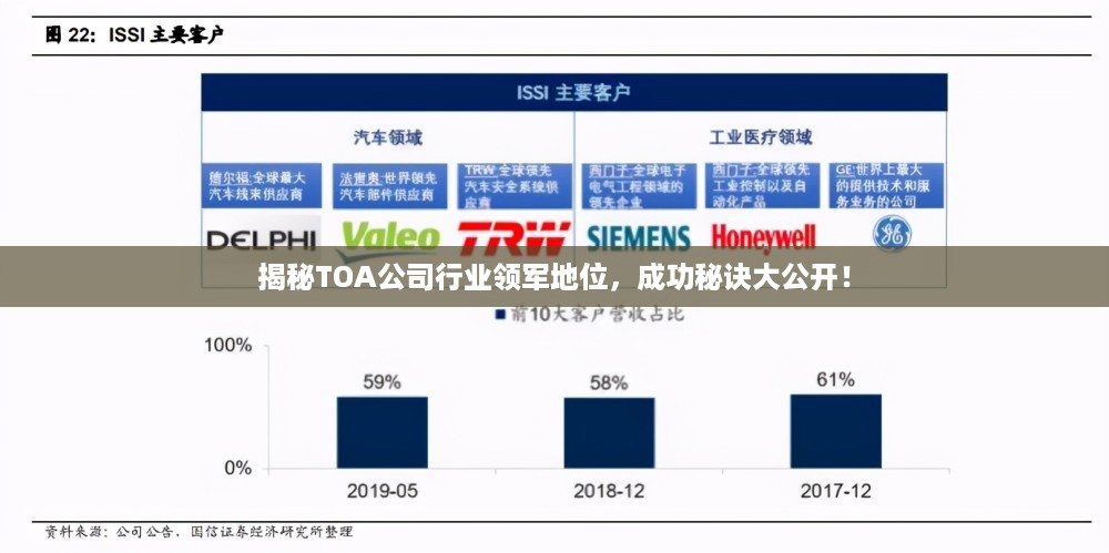 揭秘TOA公司行业领军地位，成功秘诀大公开！