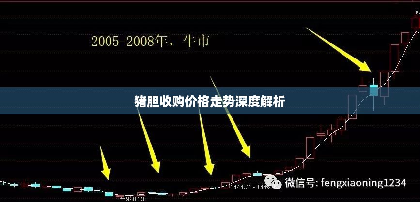 猪胆收购价格走势深度解析