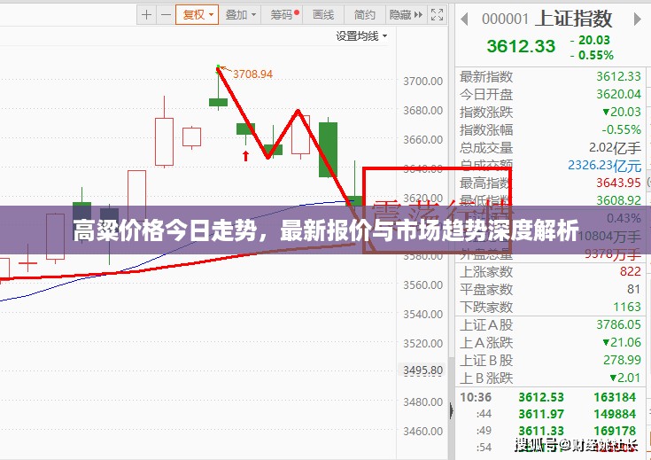 高粱价格今日走势，最新报价与市场趋势深度解析