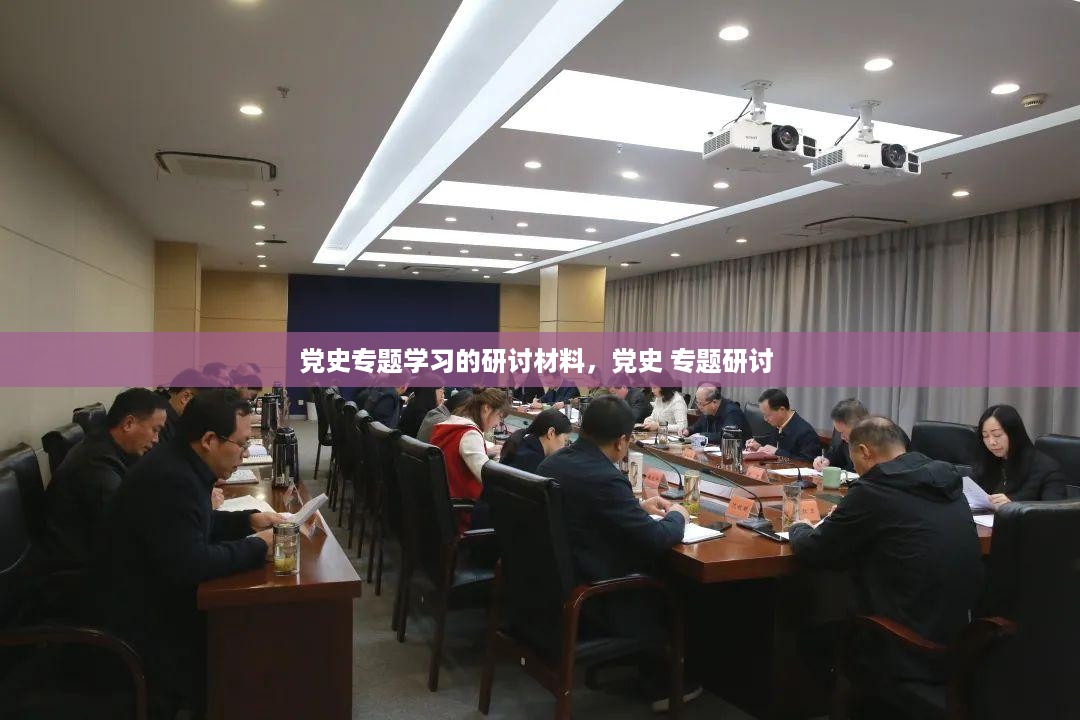 党史专题学习的研讨材料，党史 专题研讨 