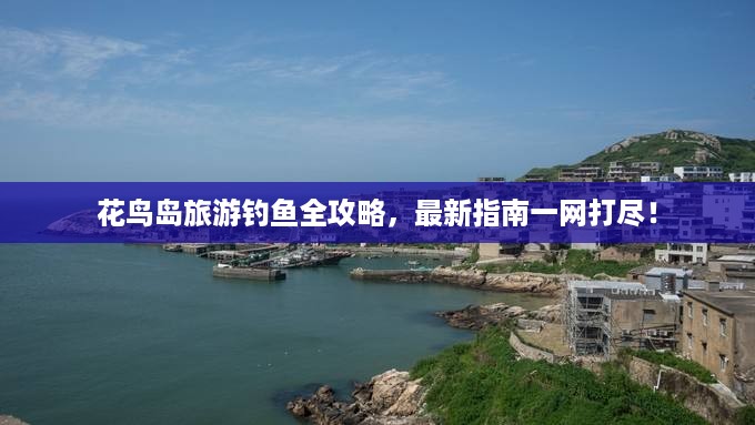 花鸟岛旅游钓鱼全攻略，最新指南一网打尽！